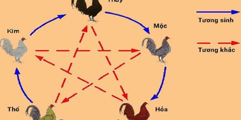 Màu Mạng Gà Đá - Cách Xem Cực Chuẩn Bởi Chuyên Gia 78WIN 1 Màu Mạng Gà Đá - Cách Xem Cực Chuẩn Bởi Chuyên Gia 78WIN